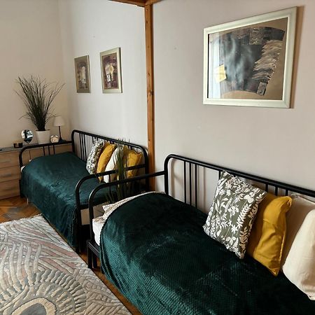 Central Apartment Next To The Elisabeth Bridge Budapest Exteriör bild
